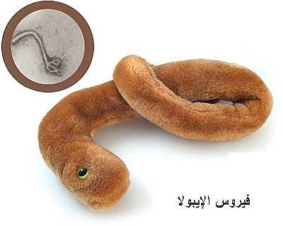 الصحة العالمية تعقد اجتماعاً لتقييم علاج تجريبي لفيروس إيبولا