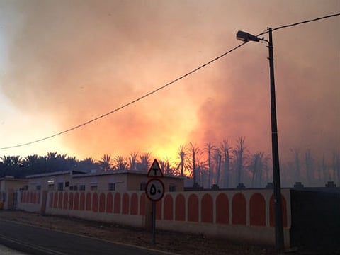 13 قراراً في اجتماع محافظ دومة الجندل لمكافحة حرائق النخيل