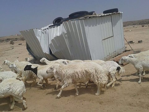 أهالي "وادي جليل" يشكون من هدم شبوك أغنامهم دون سابق إنذار