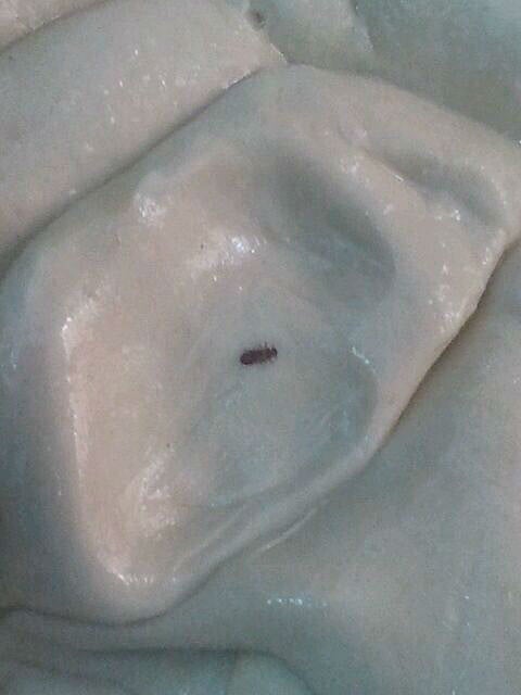 لجنة متابعة أعمال الحج تغلق مطعم ( مطبق ) في حي الغزة