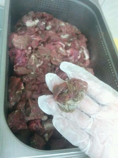 ضبط لحوم متعفنة بأحد مطاعم مكة