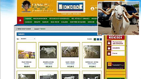 خراف الأضحى تباع في باريس وتؤكل في السنغال