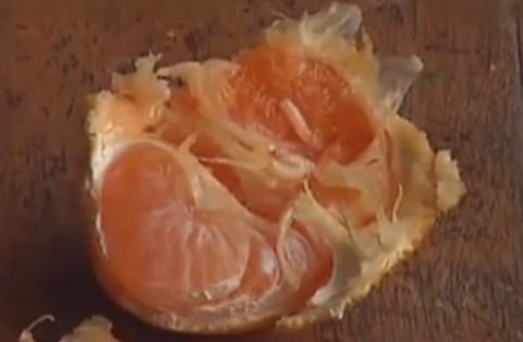 "الزراعة": نطبق الإجراءات المحجرية على النباتات والحيوانات