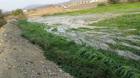 بالفيديو.. أمطار غزيرة على "يبس الباحة"