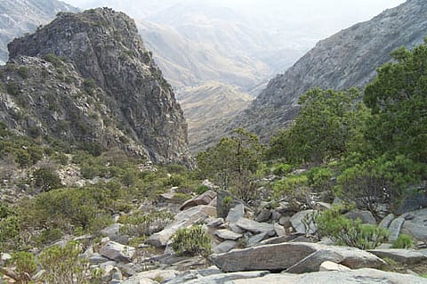 راعي أغنام يقبع مصاباً ليلة كاملة بعدما سقط من جبل "كنثا" بالطائف