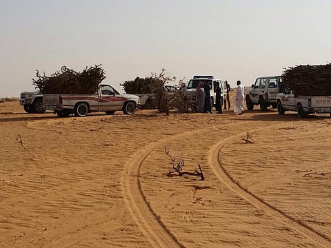 بالصور.. حملة من "الداخلية والزراعة" تداهم محتطبين بصحراء النفود