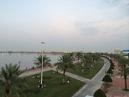 الآن.. أمطار متوسطة إلى غزيرة على مدن الشرقية