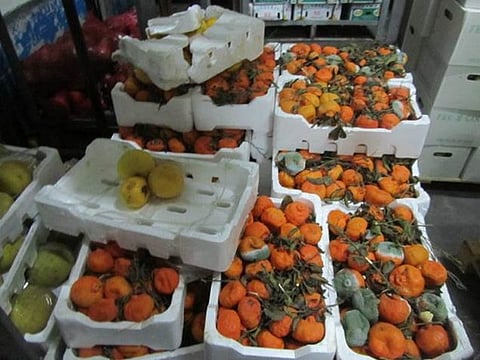 "الغذاء والدواء" تضبط 45 طناً من الحبوب المجهولة بالدمام