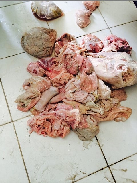 بالصور.. إغلاق مطعم مأكولات شعبية والقبض على عمالته بمكة