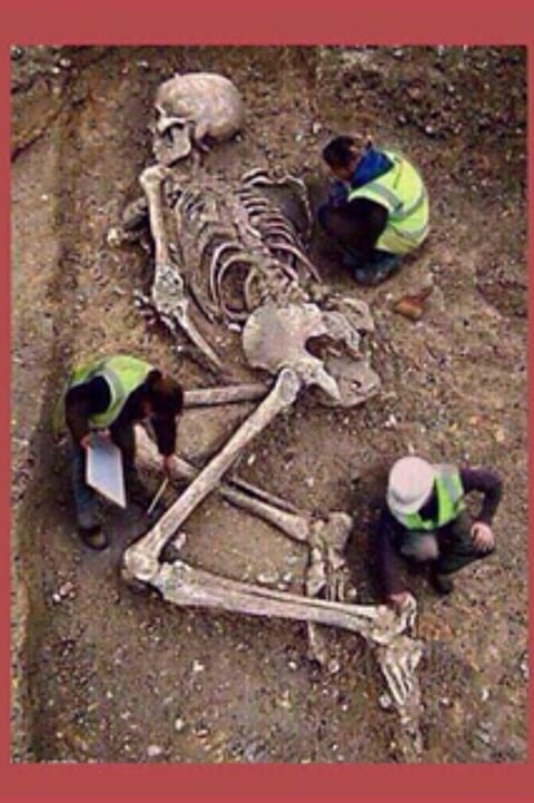 "السياحة والآثار": لا صحة لاكتشاف هيكل عظمي كبير بالمملكة