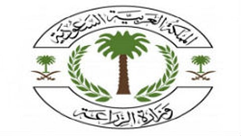 "الزراعة" توافق على استيراد المواشي الحية من باراغواي