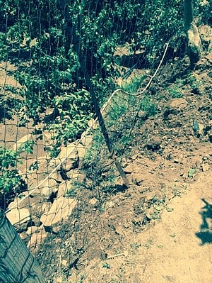 انهيار أسوار استراحات وتضرر منازل وجرف مزارع بـ"شفا الطائف"