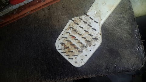 "صحة البيئة" تستهدف مطاعم ومطابخ ومحال مخالفة بالطائف