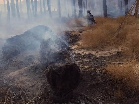 بالصور.. "مدني الحازمي" يكافح حريقًا بمزارع نخيل بالمجمعة