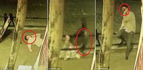 فيديو طريف.. "مدمن الجوال" كاد يكسر ساقه وهو مستمر بالاتصال