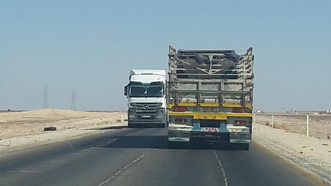 شاهد.. طريق "المدورة- حالة عمار" مصيدة موت لمرتاديه كل لحظة