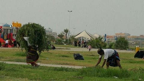 شاهد.. رعاة أغنام يقطعون مسطحات الواجهة البحرية المليونية بجازان
