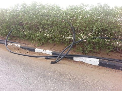 "مسلسل سرقة مشاريع الموسم" .. عصابة تخرب شبكات الري والزحف