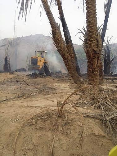 حريق بمزارع للنخيل ببيشة يستمر 6 ساعات