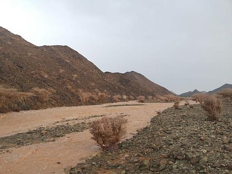 أمطارٌ غزيرة على جنوب العيص وينبع النخل