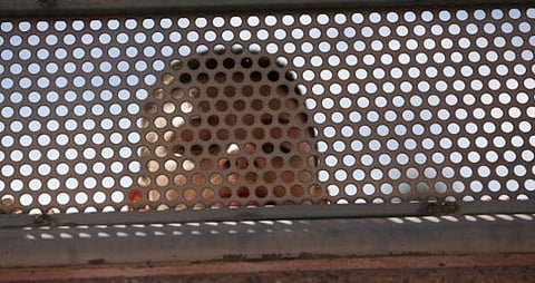 اعتقال أمريكية حَبَست طفليها في قفصين