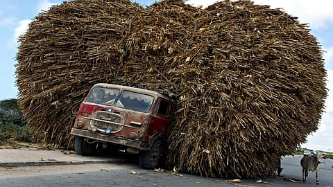 شاهد.. حمولات زائدة للشاحنات تتسبب في حوادث قاتلة أحياناً