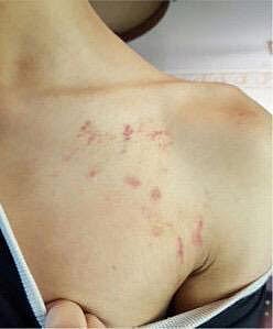 حادثة العائلة السعودية في تركيا.. عندما يغيب الدور المنتظر وتحضر التبريرات المخجلة!