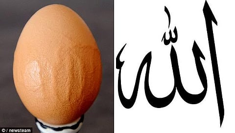 بالصور .. زوجان مسلمان يكتشفان لفظ الجلالة على "بيضة" في آيسلندا