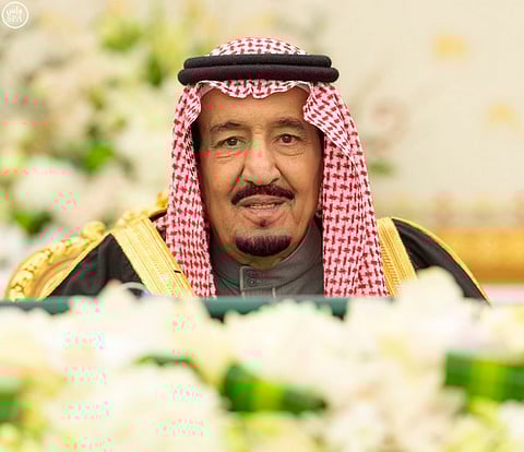 مجلس الوزراء يوقف زراعة الأعلاف الخضراء ويوجه بتوفير البدائل