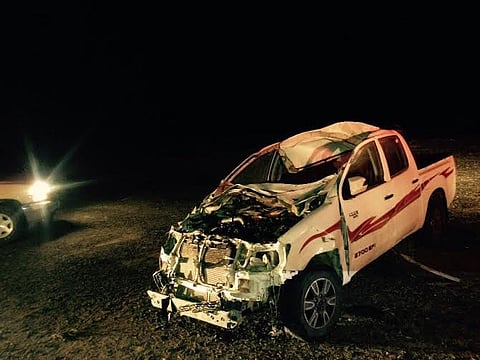 جمل سائب يتسبب في وفاة شخص على طريق "تربة - الباحة"