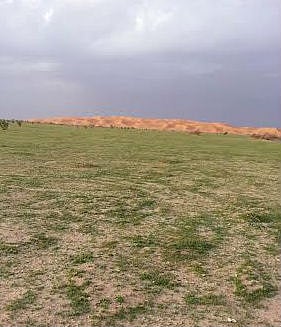 روضة "السبلة" تكتسي بالزهور وتأسر قلوب مرتاديها