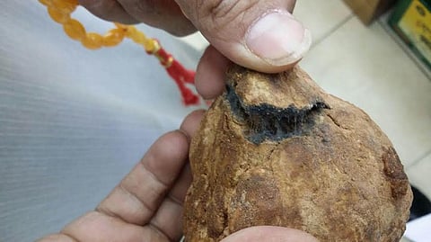 الجوف.. مصادرة كميات من "الفقع" و"العسل" المستورد التالف