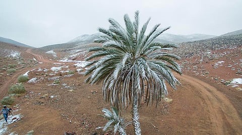 من الجو.. شاهد بداية تساقط الثلوج على مرتفعات شرق "حقل تبوك"