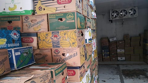 بلدية "عمرة مكة" تضبط 350 كليو تموراً مخزّنة بطريقة غير نظامية بمزرعة