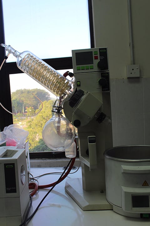 سعودية ذاع صيتها بماليزيا تعالج سرطان الثدي بـ"بذور المانجو"