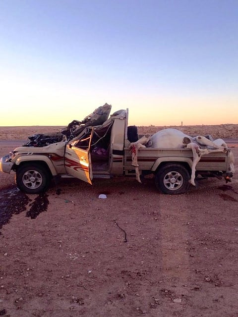 مصرع مواطن اصطدمت سيارته بجمل جنوب غرب رفحاء