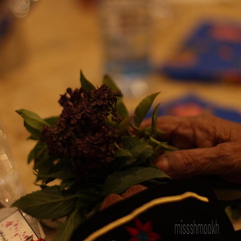 الاحتفال بمسنات دار الرعاية بفندق الإنتركونتيننتال بالطائف