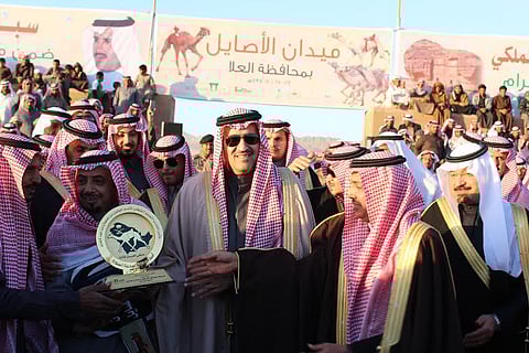 أمير المدينة يرعى ختام سباق الهجن بالعلا ويتوّج الفائزين