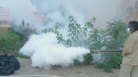 "أمانة جازان" تواصل حملتها لمكافحة "حمى الضنك" و"الأوبئة"