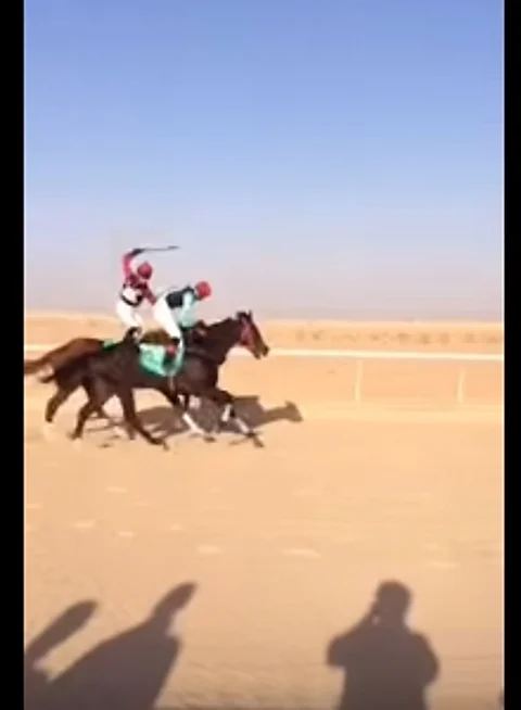 شـاهد بالفيديو.. لماذا أوقف نادي الفروسية بالقريات خيالاً موسماً كاملاً؟