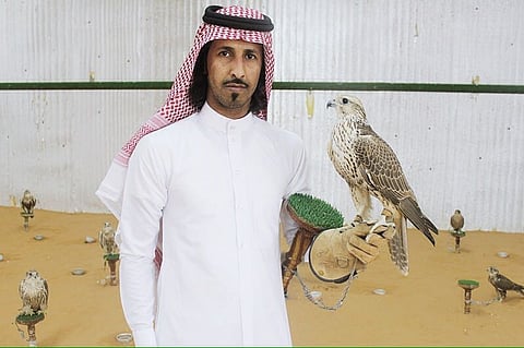 شاهد.. مواطن في رفحاء يكتسب رزقه من بيع الصقور وشرائها