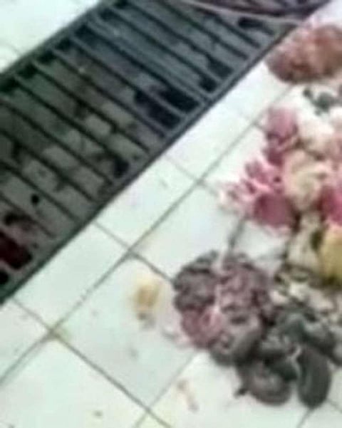 "بلدية قلوة" تجبر "مستثمر المسلخ" على تغيير الإدارة