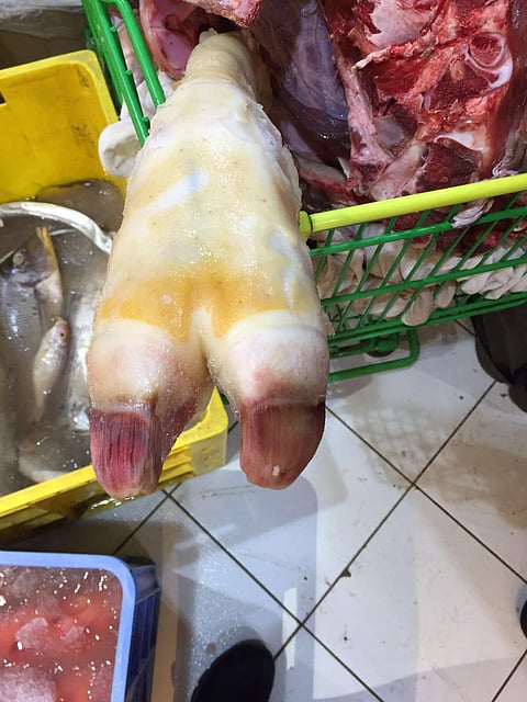 بالصور.. بلدية وسط حائل تصادر 245 كرتون لحوم فاسدة