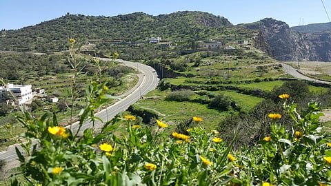 بالصور.. قرى دوس الباحة تكتسي بـ"الأخضر"