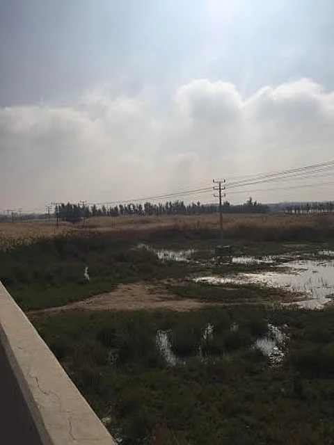 القصيم .. مياه المجاري تحاصر الأهالي وتصب بوادي الرمة مهدّدة بكارثة بيئية