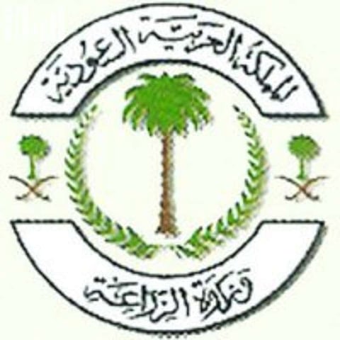 "الزراعة" تكشف لـ"سبق" تفاصيل خطة إنشاء 10 مرافئ للصيادين بمنطقة مكة