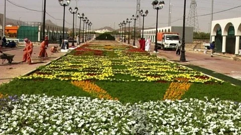 فعاليات ربيع المدينة المنورة.. غاب مهرجان الزهور وحضر "أسبوع المرور"