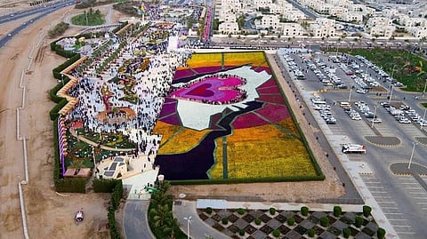 إقبال سياحي غير مسبوق من الزوار لينبع.. ونسبة الإشغال تجاوزت 100 %