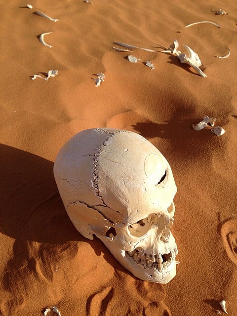 بالفيديو والصور.. مواطن يعثر على "جثة متحللة" شمال شقراء