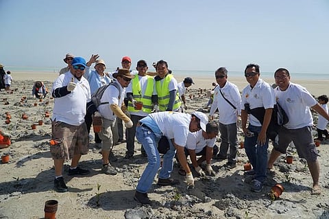 119 متطوعاً يشاركون في زراعة "المانجروف" بالجبيل الصناعية